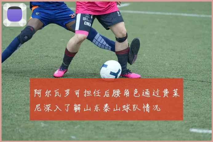 阿尔瓦罗可担任后腰角色通过费莱尼深入了解山东泰山球队情况